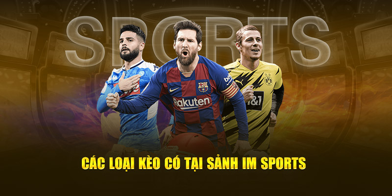 Các loại kèo có tại sảnh IP Sports