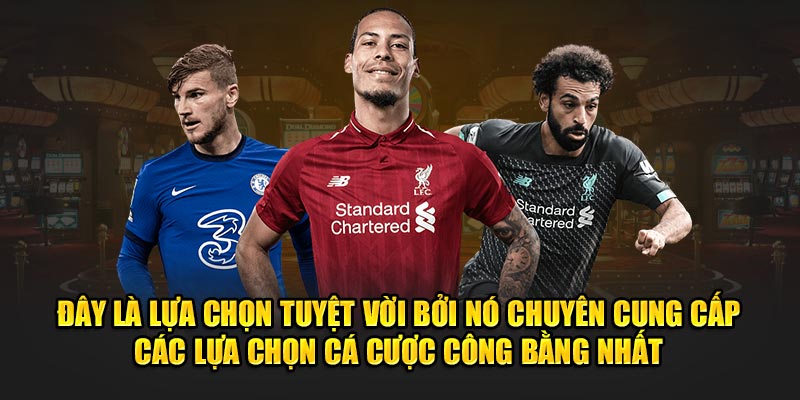 Tennis - lựa chọn tuyệt vời với lựa chọn cá cược công bằng nhất tại Saba Sports V9bet